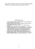 Referāts 'Pirmsskolas izglītības nozares analīze', 17.