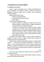 Referāts 'Ieņēmumi no pamatdarbības, to uzskaite', 5.
