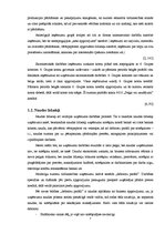 Referāts 'Ieņēmumi no pamatdarbības, to uzskaite', 7.