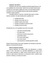 Konspekts 'Noliktavas sistēma, pamatelementi un efektivitātes novērtējums', 5.