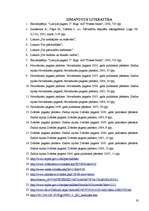 Referāts 'Saldus rajona Zvārdes un Novadnieku pagastu budžetu analīze, pagastu iespējamā s', 19.