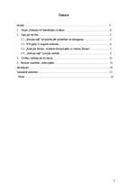 Referāts '„Baltijas ceļš” – cīņa par brīvību pirms piecpadsmit gadiem un tagad', 2.