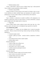 Referāts 'Viesnīcas projekts II', 16.