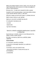 Konspekts 'Civiltiesības', 6.