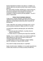 Konspekts 'Civiltiesības', 23.