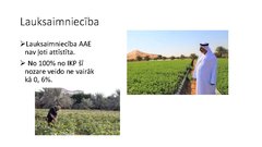 Prezentācija 'Apvienotie Arābu Emirāti', 22.