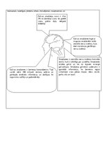 Paraugs 'Psihes bioloģiskie pamati - kontroldarbs (3)', 5.