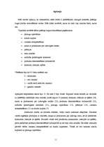 Konspekts 'Pārdošanas veicināšanas paņēmieni', 11.