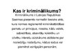 Prezentācija 'Krimināllikums', 2.