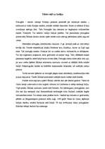 Referāts '15.-17.gs. jūrasbraucēji', 6.