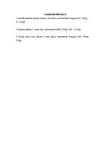 Referāts '15.-17.gs. jūrasbraucēji', 8.