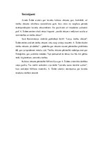 Referāts 'Tiesību vēsture kā kultūras vēstures sastāvdaļa: Arveda Švābes piemērs', 8.