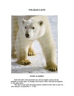 Konspekts 'Polārlācis', 1.