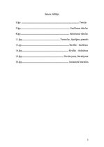 Paraugs 'Ņūtona atdzišanas likums', 2.