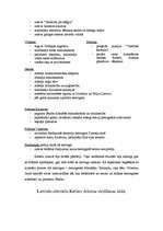 Referāts 'Kurzemes un Zemgales hercogiste', 17.