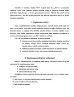 Paraugs 'Biznesa analīze un stratēģija', 2.