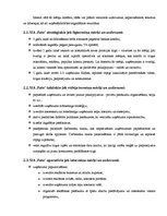 Paraugs 'Biznesa analīze un stratēģija', 3.