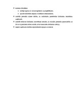 Paraugs 'Biznesa analīze un stratēģija', 4.