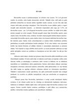 Referāts 'Ģimenes mājas tehniskā stāvokļa novērtēšana', 5.