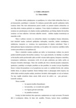 Referāts 'Ģimenes mājas tehniskā stāvokļa novērtēšana', 10.