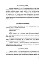 Biznesa plāns 'Pirts pakalpojumu sniegšana', 3.