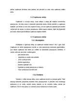 Biznesa plāns 'Pirts pakalpojumu sniegšana', 4.