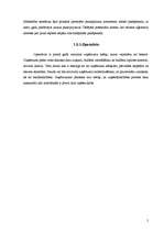 Biznesa plāns 'Pirts pakalpojumu sniegšana', 5.