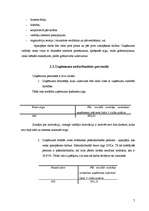 Biznesa plāns 'Pirts pakalpojumu sniegšana', 7.