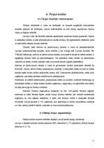 Biznesa plāns 'Pirts pakalpojumu sniegšana', 11.