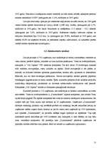 Biznesa plāns 'Pirts pakalpojumu sniegšana', 13.