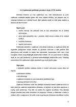 Biznesa plāns 'Pirts pakalpojumu sniegšana', 14.