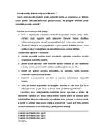 Eseja 'Antiglobālistu kustība - saturs, forma un izredzes', 2.