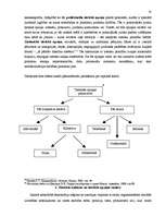 Eseja 'Tiesiskās apziņas veidošana: problēmas un to risināšanas veidi', 10.