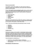 Referāts 'Kā uzsākt biznesu? Biznesa plāns. Biznesa plāna paraugs. Pirmie aprēķini savam b', 7.