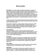 Referāts 'Kā uzsākt biznesu? Biznesa plāns. Biznesa plāna paraugs. Pirmie aprēķini savam b', 11.