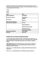 Referāts 'Kā uzsākt biznesu? Biznesa plāns. Biznesa plāna paraugs. Pirmie aprēķini savam b', 18.