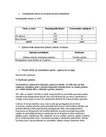 Referāts 'Kā uzsākt biznesu? Biznesa plāns. Biznesa plāna paraugs. Pirmie aprēķini savam b', 23.