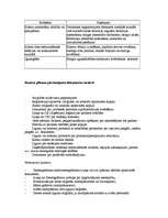 Referāts 'Kā uzsākt biznesu? Biznesa plāns. Biznesa plāna paraugs. Pirmie aprēķini savam b', 33.