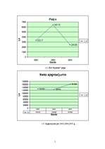 Referāts 'Uzņēmuma raksturojums', 5.