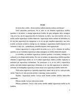 Referāts 'Muitas kultūras iekšējās kontroles sistēmas novērtējums', 2.