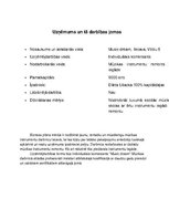 Biznesa plāns 'Biznesa plāns', 2.