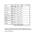 Biznesa plāns 'Biznesa plāns', 6.