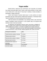 Biznesa plāns 'Biznesa plāns', 7.