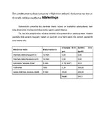 Biznesa plāns 'Biznesa plāns', 8.