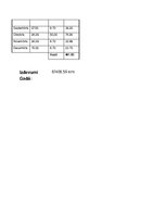 Biznesa plāns 'Biznesa plāns', 11.