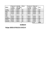 Biznesa plāns 'Biznesa plāns', 12.