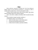 Biznesa plāns 'Biznesa plāns', 13.