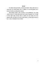 Referāts 'Intuīcija', 3.