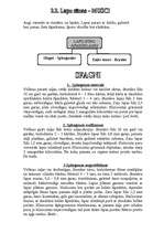 Referāts 'Sūnas', 11.