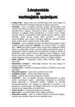 Referāts 'Sūnas', 22.